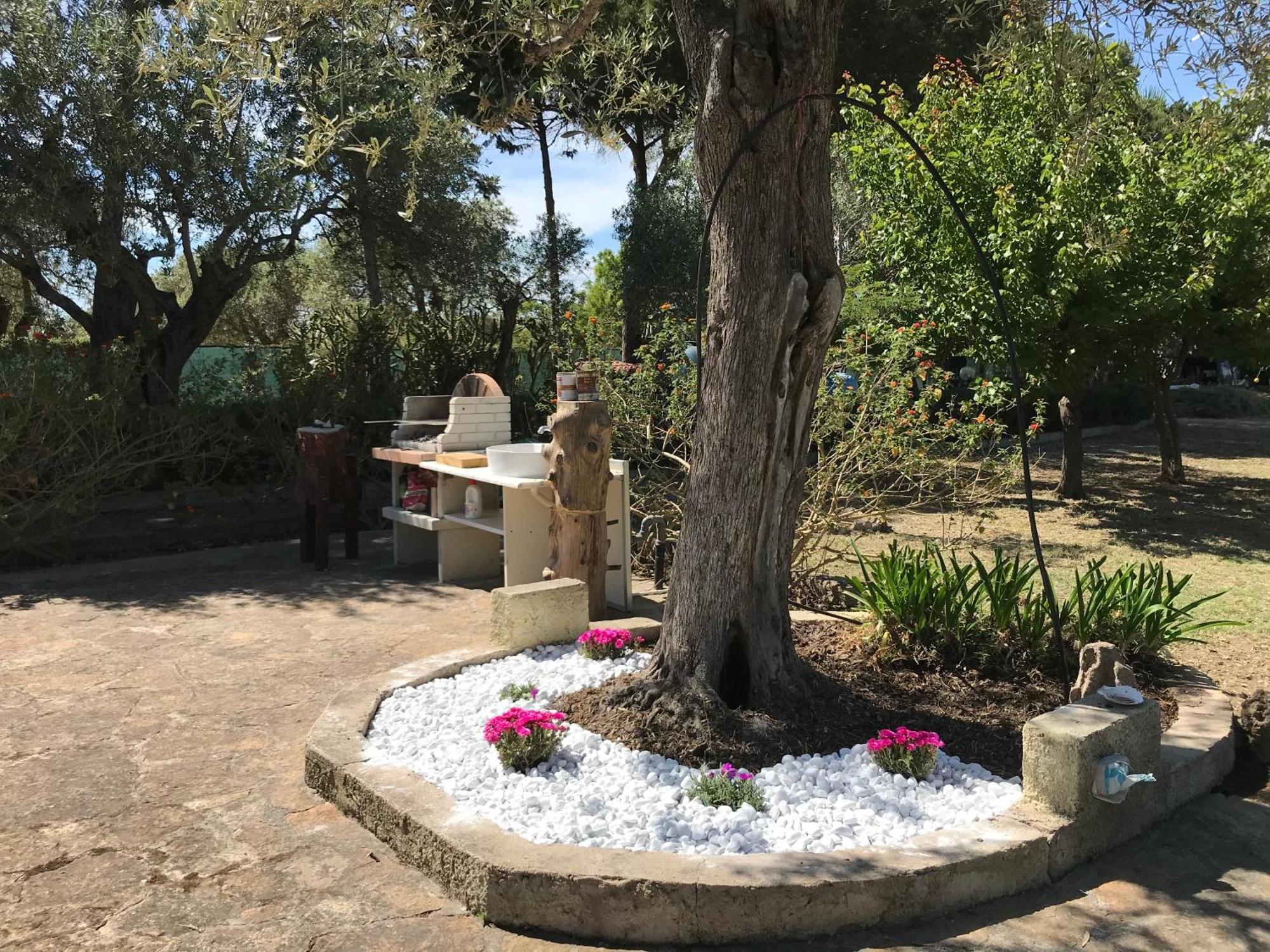 Butterfly House Bed & Breakfast Αλγκέρο Εξωτερικό φωτογραφία