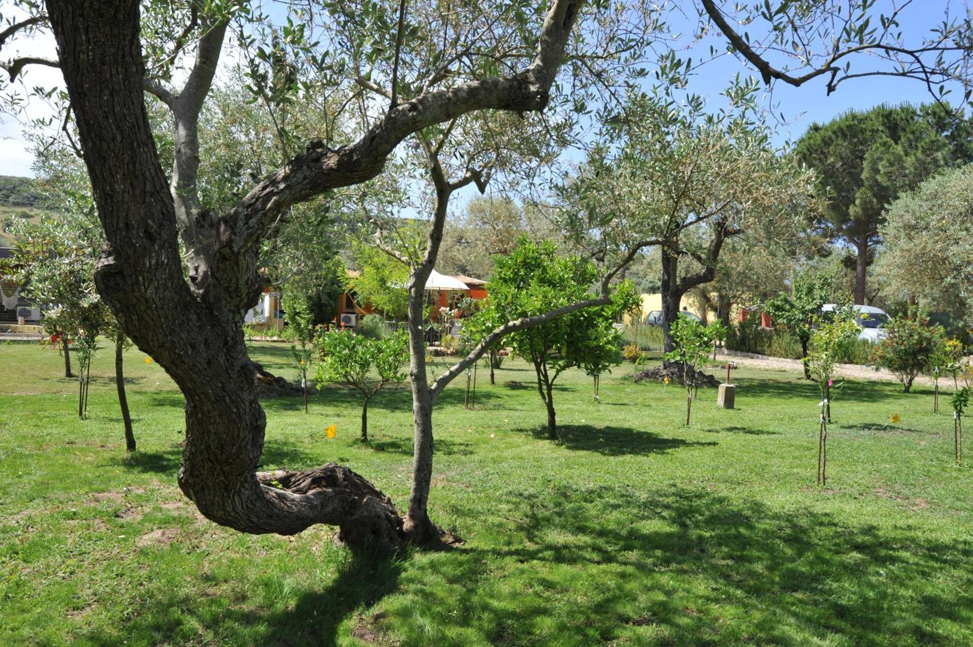 Butterfly House Bed & Breakfast Αλγκέρο Εξωτερικό φωτογραφία