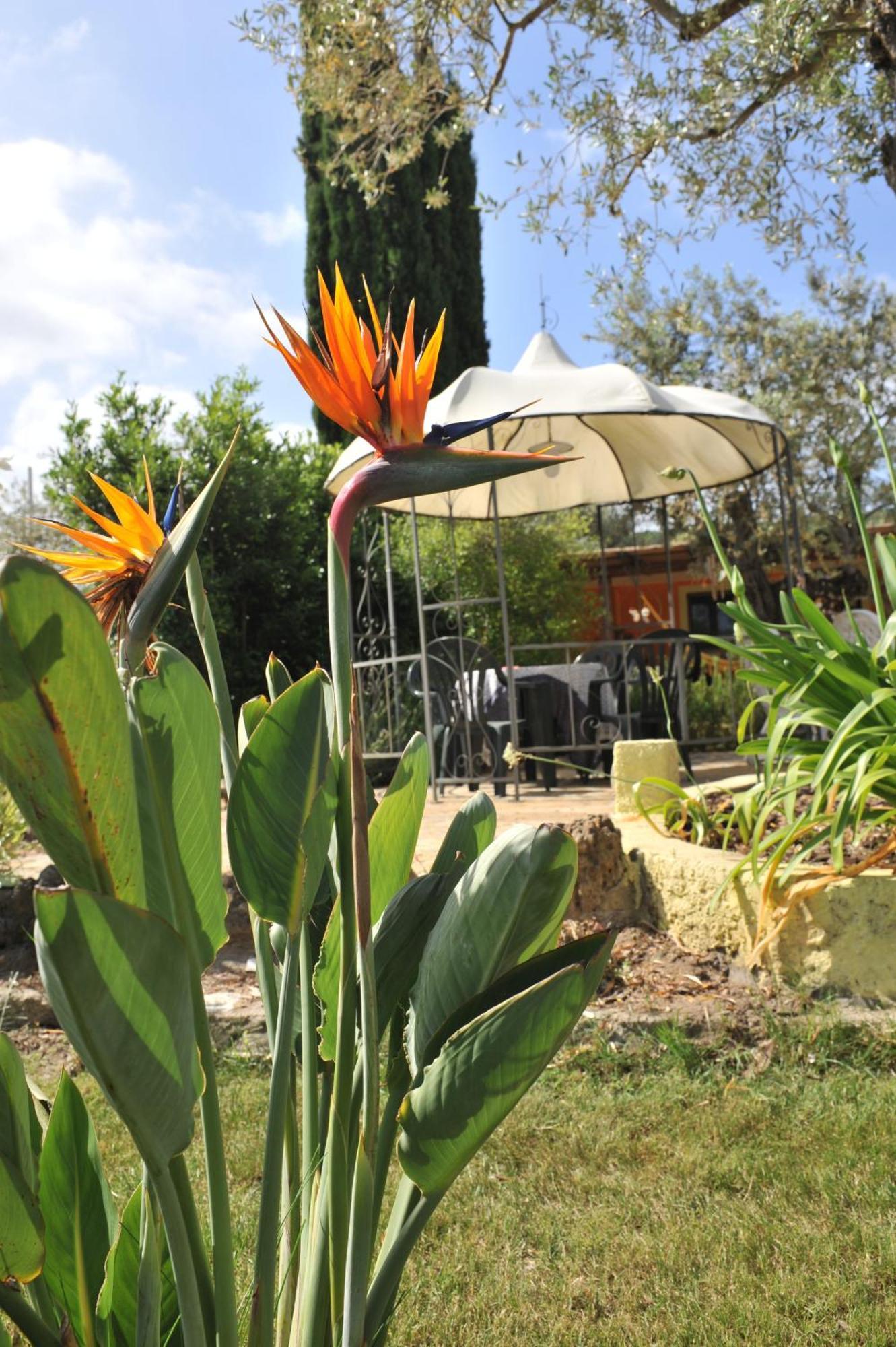 Butterfly House Bed & Breakfast Αλγκέρο Εξωτερικό φωτογραφία