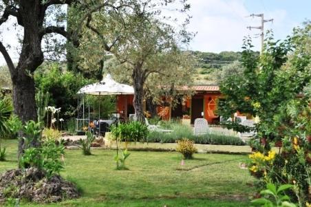 Butterfly House Bed & Breakfast Αλγκέρο Εξωτερικό φωτογραφία